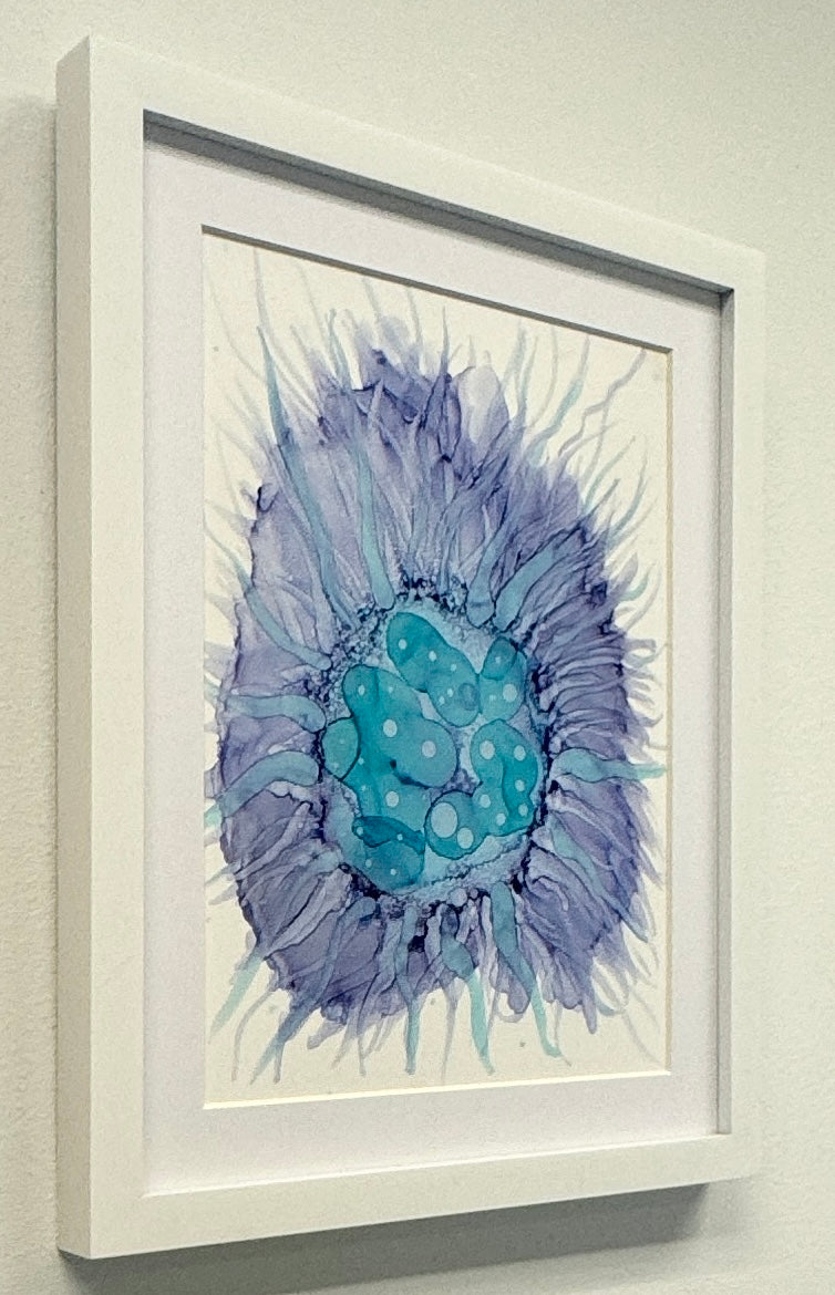 Is It Urchin